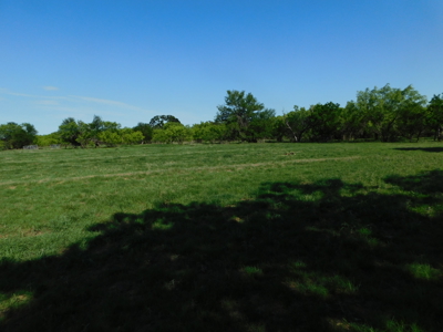 Amazing 43.03 acres inside the Brownwood Texas city limits - image 22