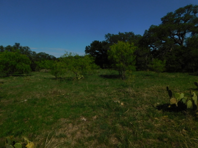 Amazing 43.03 acres inside the Brownwood Texas city limits - image 30