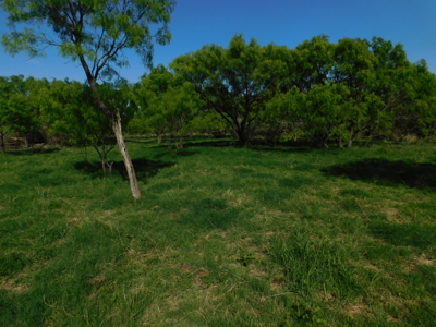 Amazing 43.03 acres inside the Brownwood Texas city limits - image 29