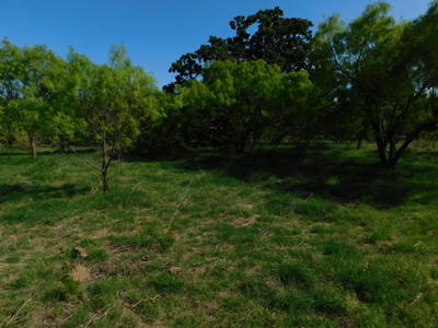 Amazing 43.03 acres inside the Brownwood Texas city limits - image 28