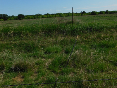 Amazing 43.03 acres inside the Brownwood Texas city limits - image 20