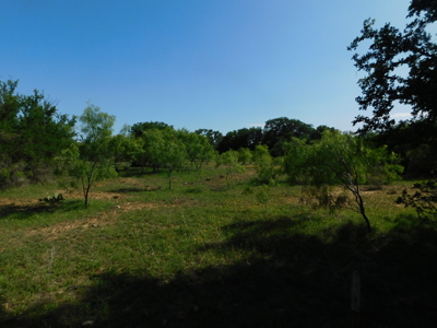Amazing 43.03 acres inside the Brownwood Texas city limits - image 11