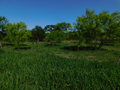 Amazing 43.03 acres inside the Brownwood Texas city limits - image 27
