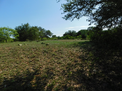 Amazing 43.03 acres inside the Brownwood Texas city limits - image 13
