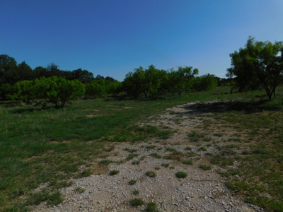 Amazing 43.03 acres inside the Brownwood Texas city limits - image 14