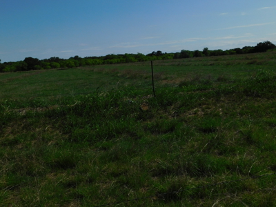 Amazing 43.03 acres inside the Brownwood Texas city limits - image 18