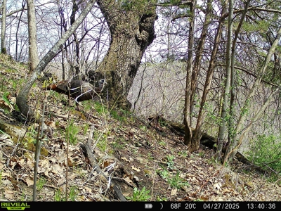 2- Country Homes on 12 +/- Acres - image 40