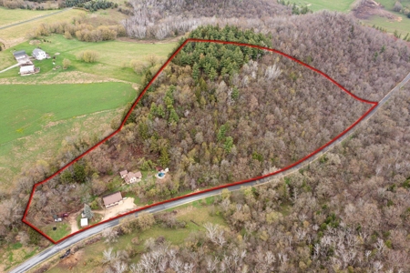 2- Country Homes on 12 +/- Acres - image 3
