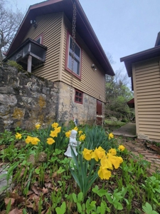 2- Country Homes on 12 +/- Acres - image 16