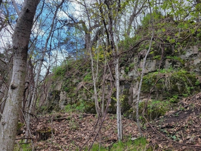 2- Country Homes on 12 +/- Acres - image 19