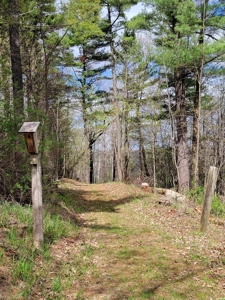 2- Country Homes on 12 +/- Acres - image 18