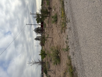 Vacant Land For Sale in Carlsbad NM with Otis Water Meter - image 1