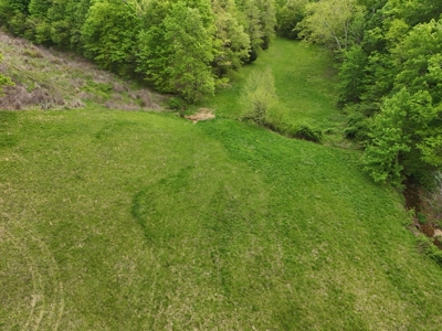 Unrestricted Prime Acreage in Summer Shade, Kentucky - image 28
