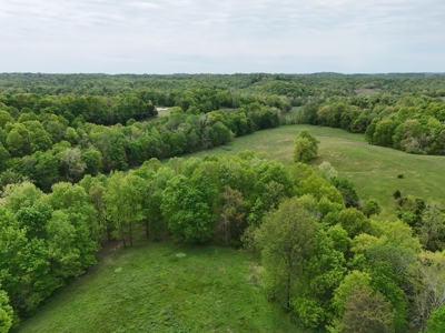 Unrestricted Prime Acreage in Summer Shade, Kentucky - image 14