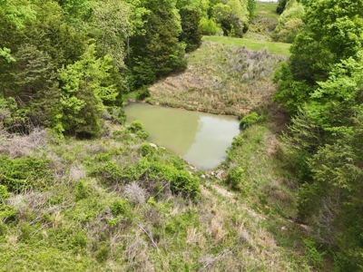 Unrestricted Prime Acreage in Summer Shade, Kentucky - image 22