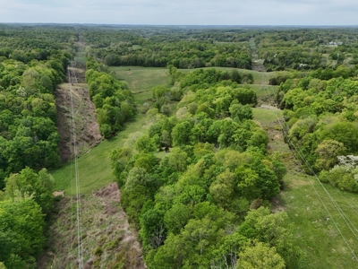 Unrestricted Prime Acreage in Summer Shade, Kentucky - image 6