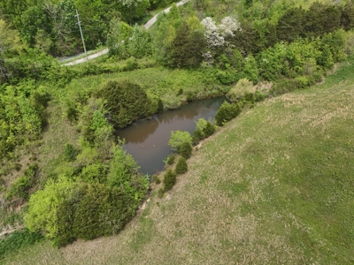 Unrestricted Prime Acreage in Summer Shade, Kentucky - image 40