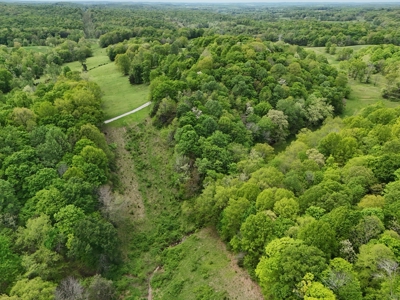 Unrestricted Prime Acreage in Summer Shade, Kentucky - image 7