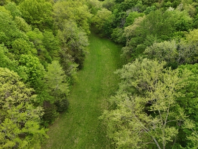Unrestricted Prime Acreage in Summer Shade, Kentucky - image 30