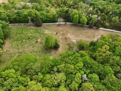 Unrestricted Prime Acreage in Summer Shade, Kentucky - image 10