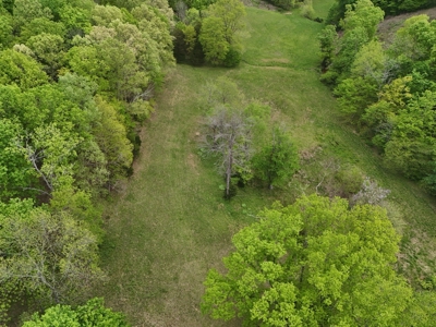 Unrestricted Prime Acreage in Summer Shade, Kentucky - image 24