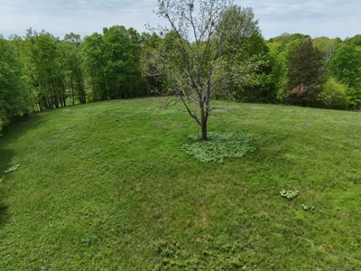 Unrestricted Prime Acreage in Summer Shade, Kentucky - image 21