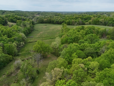 Unrestricted Prime Acreage in Summer Shade, Kentucky - image 11