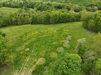 Unrestricted Prime Acreage in Summer Shade, Kentucky - image 34