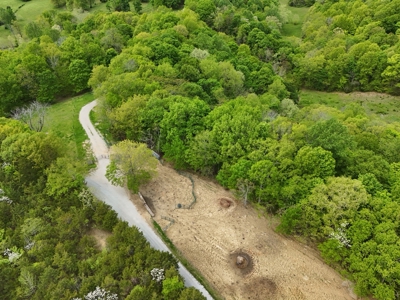 Unrestricted Prime Acreage in Summer Shade, Kentucky - image 9