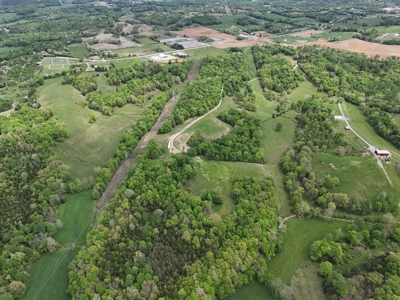 Unrestricted Prime Acreage in Summer Shade, Kentucky - image 37