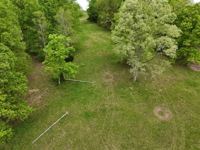 Unrestricted Prime Acreage in Summer Shade, Kentucky - image 27