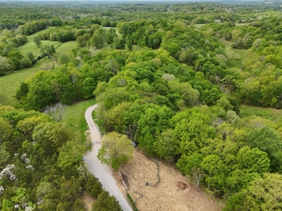 Unrestricted Prime Acreage in Summer Shade, Kentucky - image 8