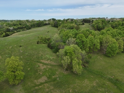 Unrestricted Prime Acreage in Summer Shade, Kentucky - image 25
