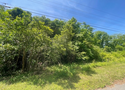 Residential Lot In-Town Cheraw SC For Sale - image 5