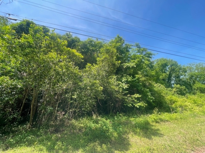 Residential Lot In-Town Cheraw SC For Sale - image 4