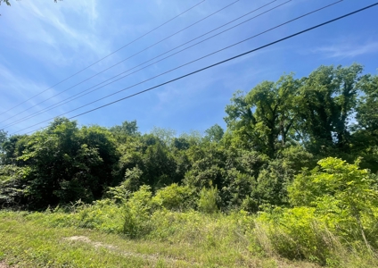 Residential Lot In-Town Cheraw SC For Sale - image 1