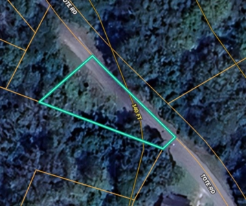 Residential Lot In-Town Cheraw SC For Sale - image 3