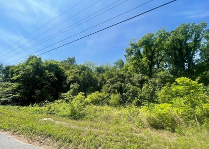 Residential Lot In-Town Cheraw SC For Sale - image 2
