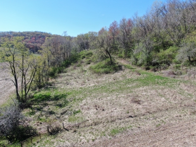 Online-Only Auction | 253+/- Acre Farm with Two Homes - image 27