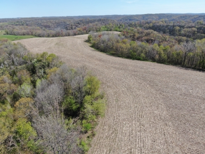 Online-Only Auction | 253+/- Acre Farm with Two Homes - image 33