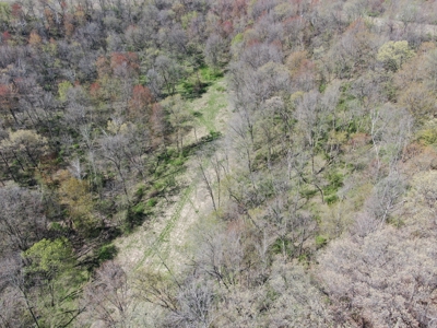 Online-Only Auction | 253+/- Acre Farm with Two Homes - image 29