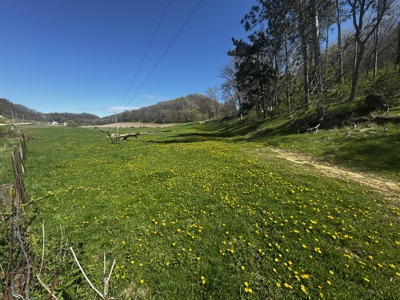 Online-Only Auction | 253+/- Acre Farm with Two Homes - image 31