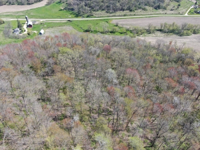 Online-Only Auction | 253+/- Acre Farm with Two Homes - image 26