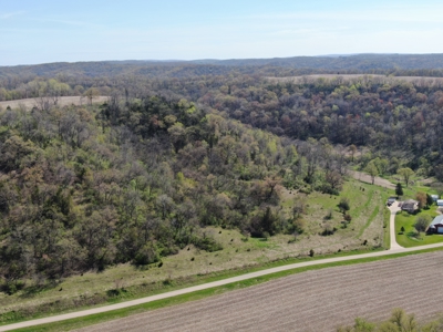 Online-Only Auction | 253+/- Acre Farm with Two Homes - image 5