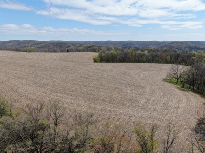 Online-Only Auction | 253+/- Acre Farm with Two Homes - image 34