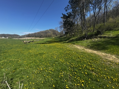 Online-Only Auction | 253+/- Acre Farm with Two Homes - image 35