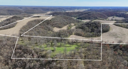 Online-Only Auction | 253+/- Acre Farm with Two Homes - image 30