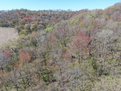 Online-Only Auction | 253+/- Acre Farm with Two Homes - image 28