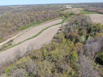 Online-Only Auction | 253+/- Acre Farm with Two Homes - image 32