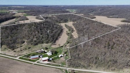 Online-Only Auction | 253+/- Acre Farm with Two Homes - image 3